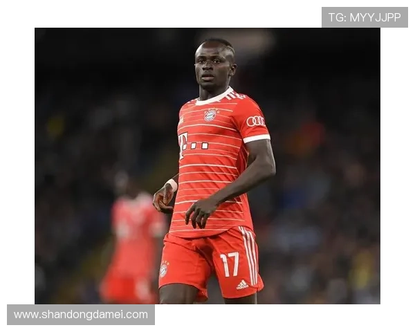 男足球星巨额收入榜单揭晓 男足球星巨额收入榜单揭晓