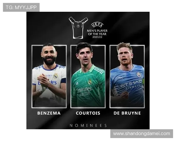 聚焦世界绿茵豪门从不同角度解析如何选择心仪的足球球星 聚焦世界绿茵豪门从不同角度解析如何选择心仪的足球球星